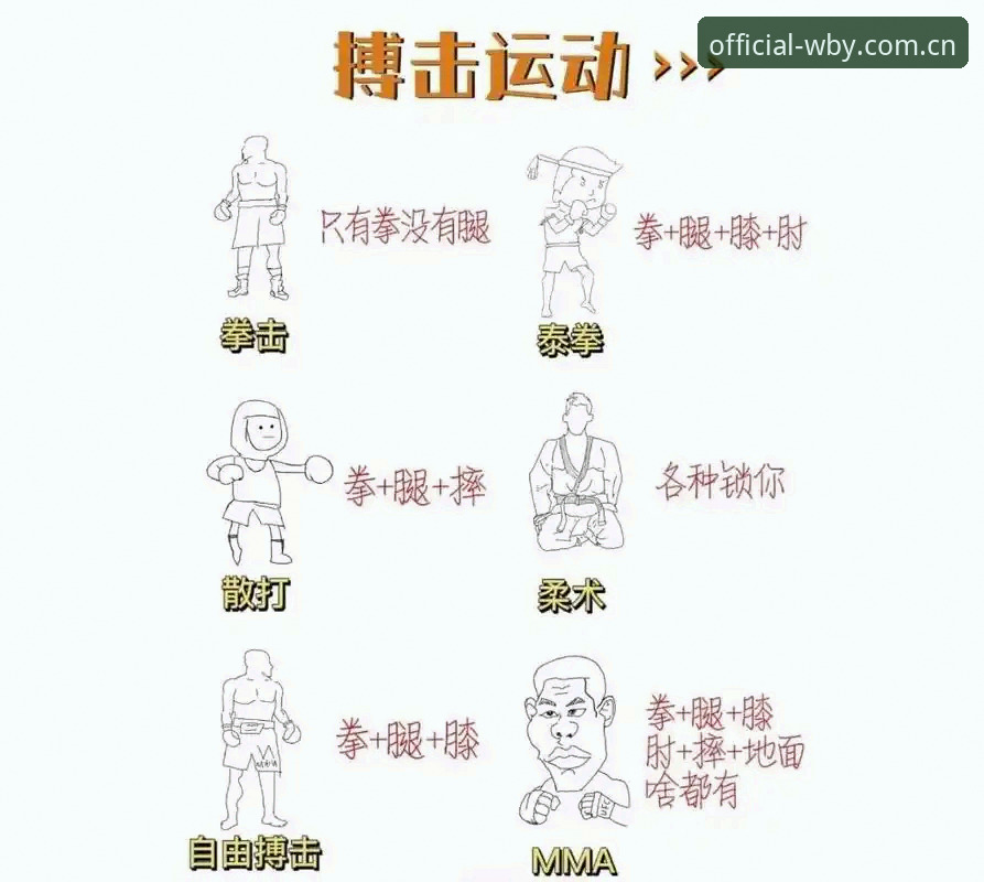 万搏体育平台最新动态：新手必读的专业体育使用指南全解析